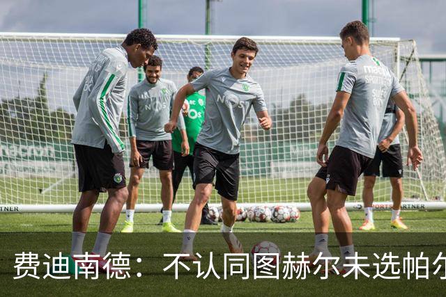 费迪南德：不认同图赫尔未选帕尔默的决定，后者在大赛证明过自己
